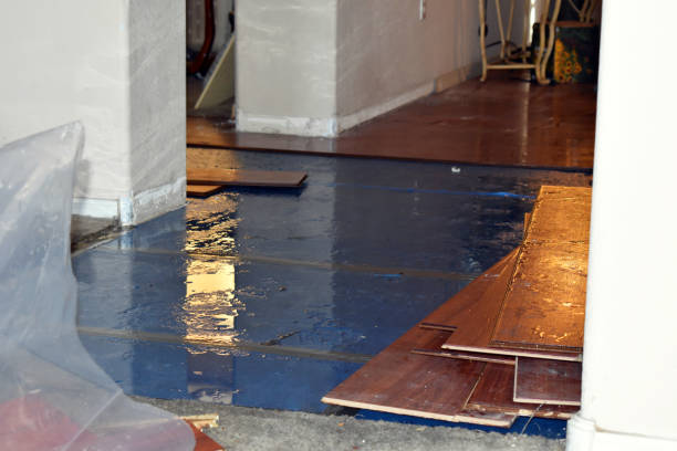 Professional Burst Pipe Cleanup technician working in Moorland, IA